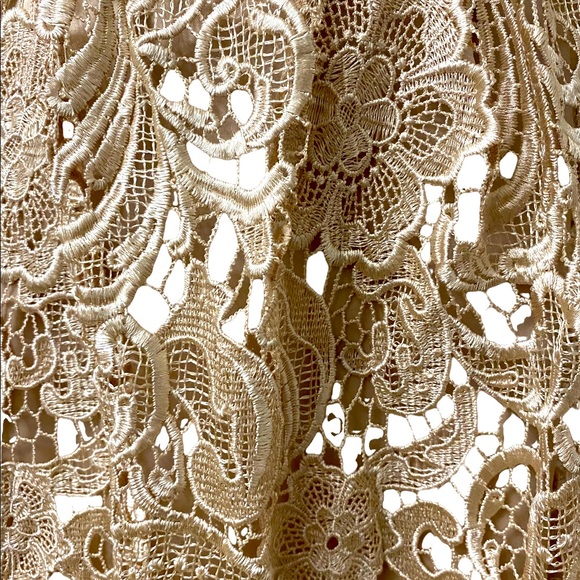 ADRIANNA PAPELL Lace Illusion Midi Size 4 - Picture 2 of 15